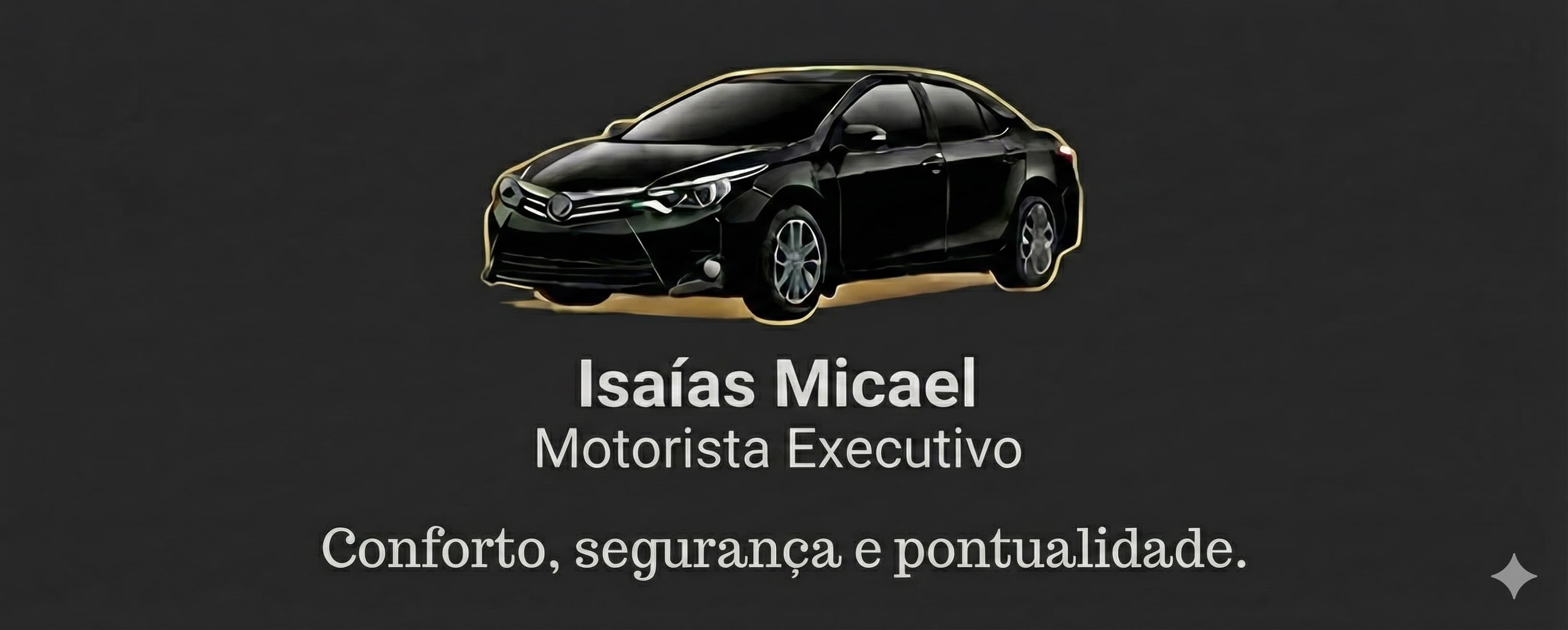 Motorista executivo